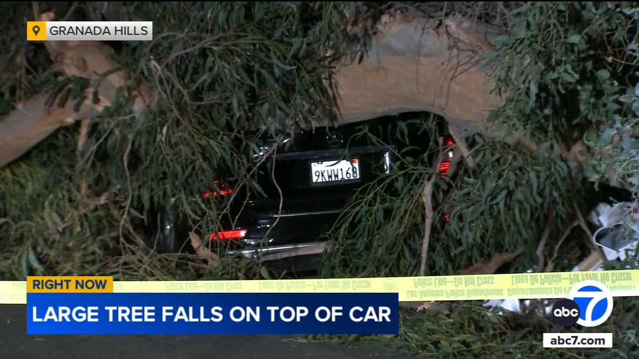 Strong winds roar into SoCal neighborhoods