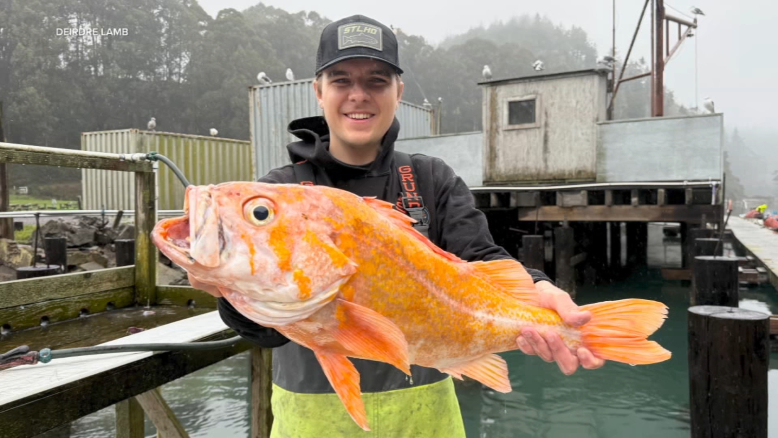 Mendocino fisherman reels in possible world record catch fish