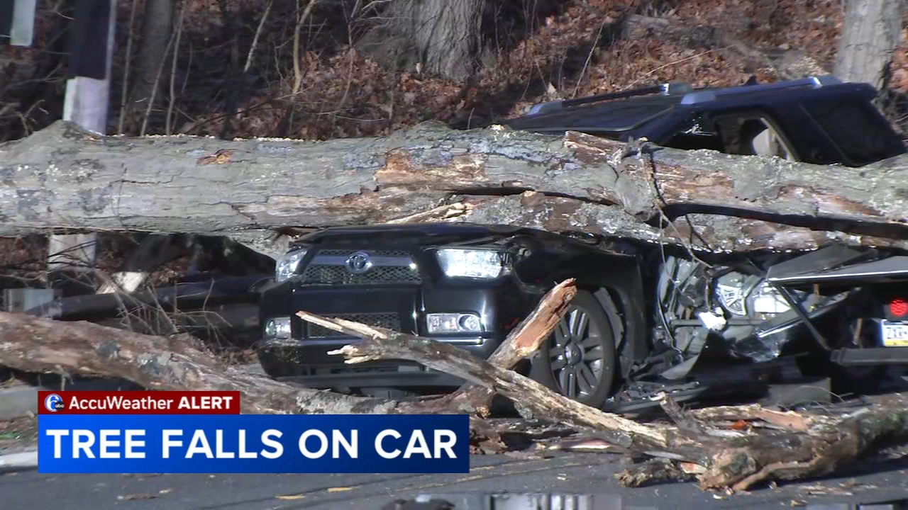 Couple hurt after tree crushes car during severe weather