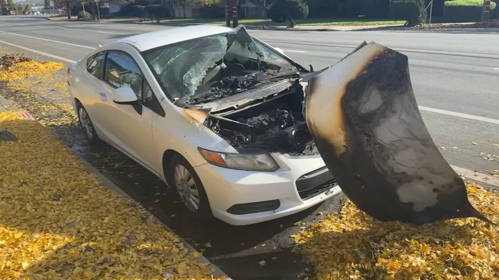 String of suspicious car fires in San Jose's Willow Glen neighborhood spark investigation