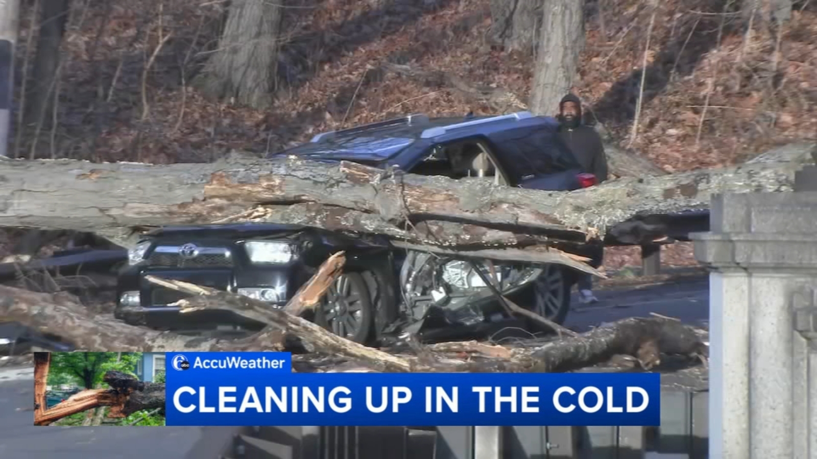 Couple hurt after tree crushes car during severe weather