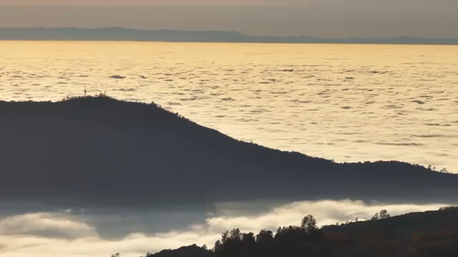 Tule fog sticks around as we expect to see wet weather soon