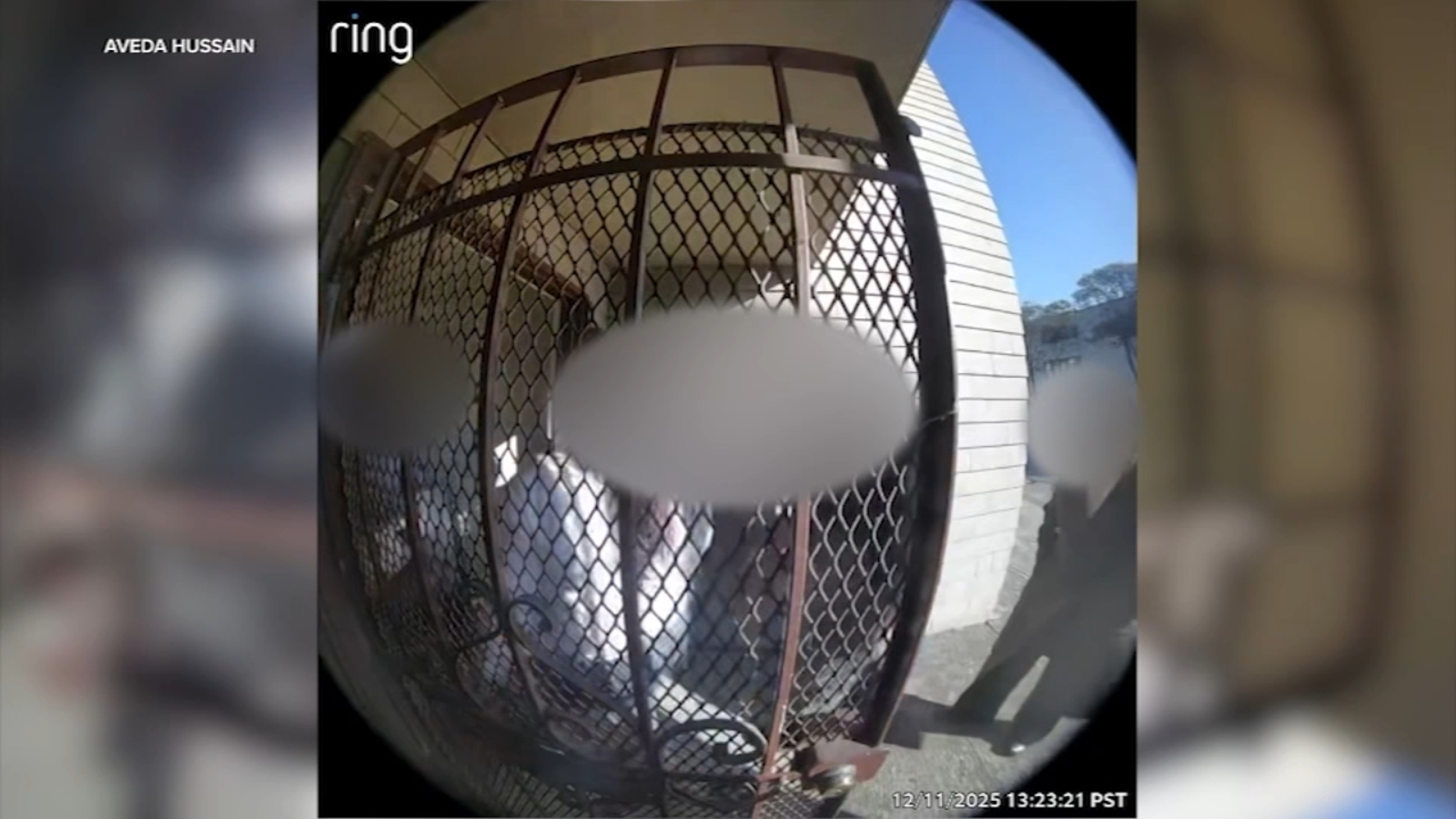 SF apartment management staff accused of breaking in, stealing Christmas gifts from tenants: VIDEO