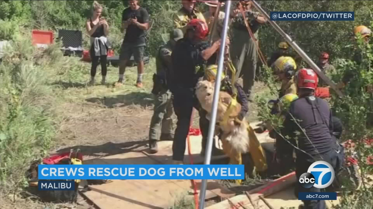 Dog rescued from 30-foot well in Malibu after four-hour ordeal
