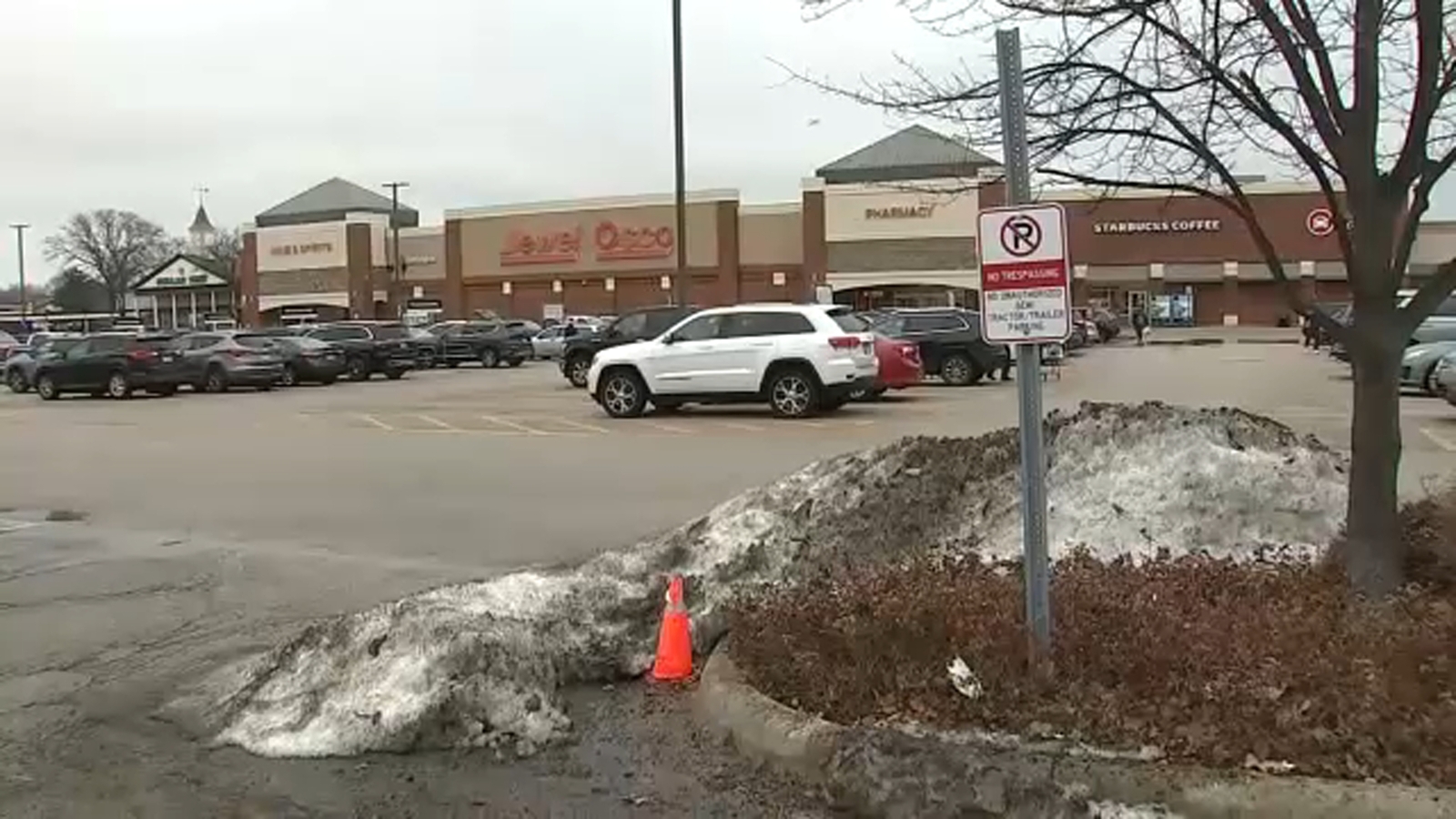 Bensenville man accused of trying to kidnap Jewel-Osco employee with special needs: EXCLUSIVE