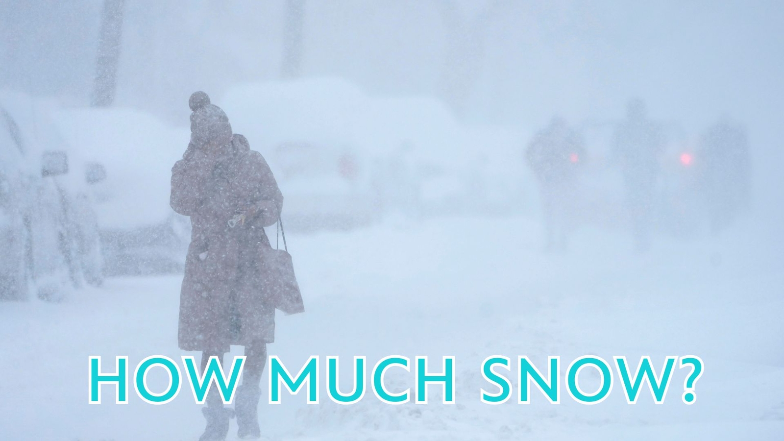 Snowfall totals across New York City, Tri-State area from powerful winter storm