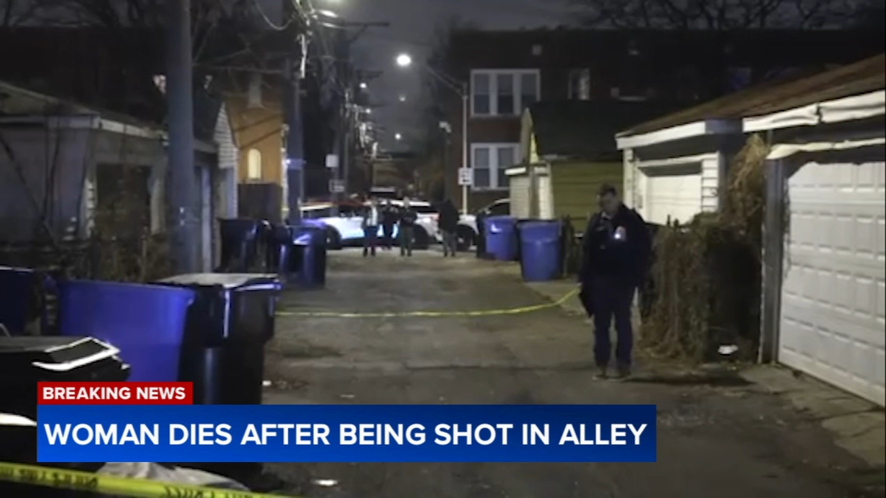 Woman shot, killed while walking in South Side alley: CPD