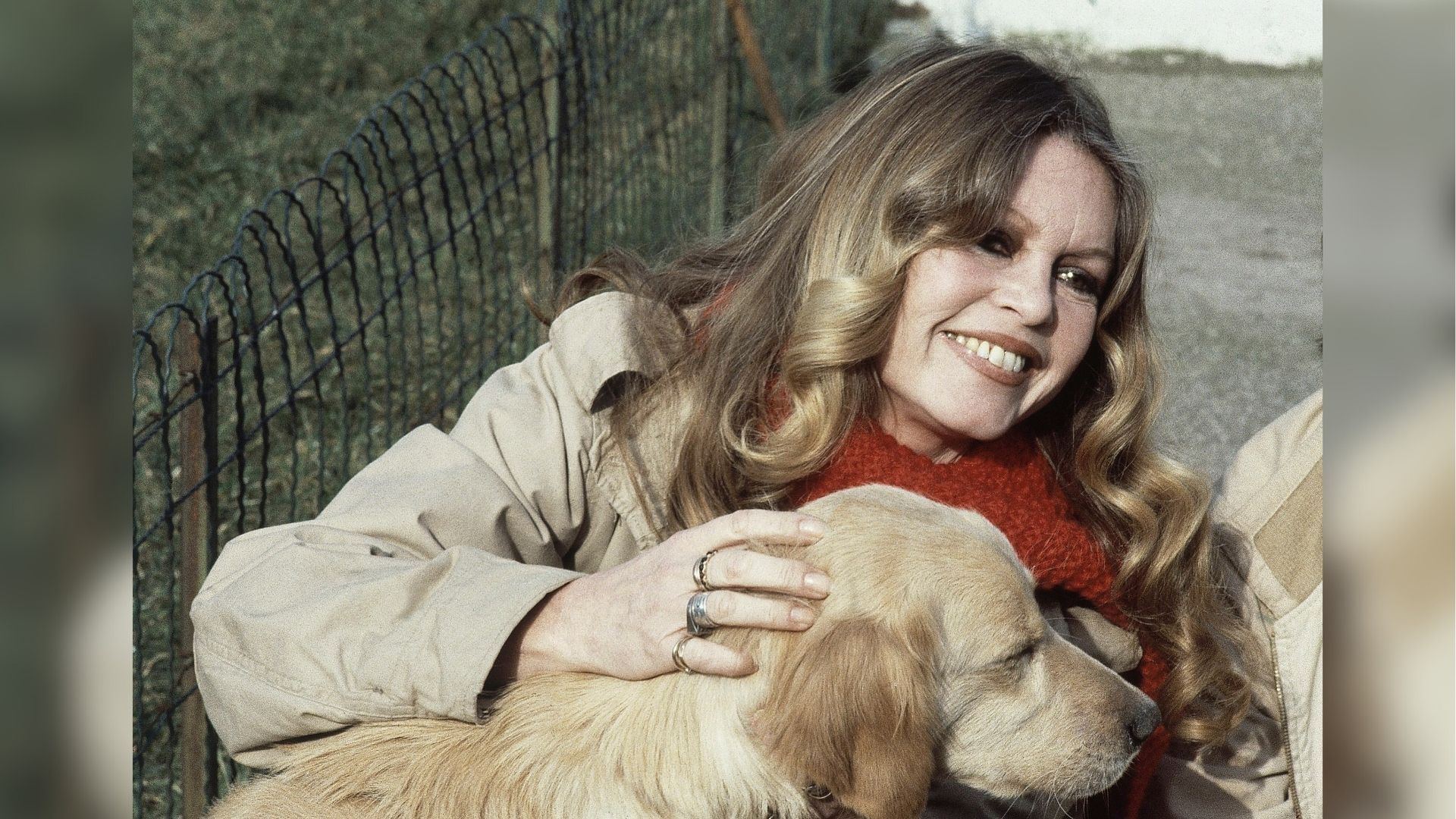 FILE - French Actress Brigitte Bardot with a dog in the Gennevilliers, Paris, while supporting the French animal protection society operation, Feb. 10, 1982.
