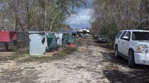 Images posted by HCSO on social media show several wire cages on the property.