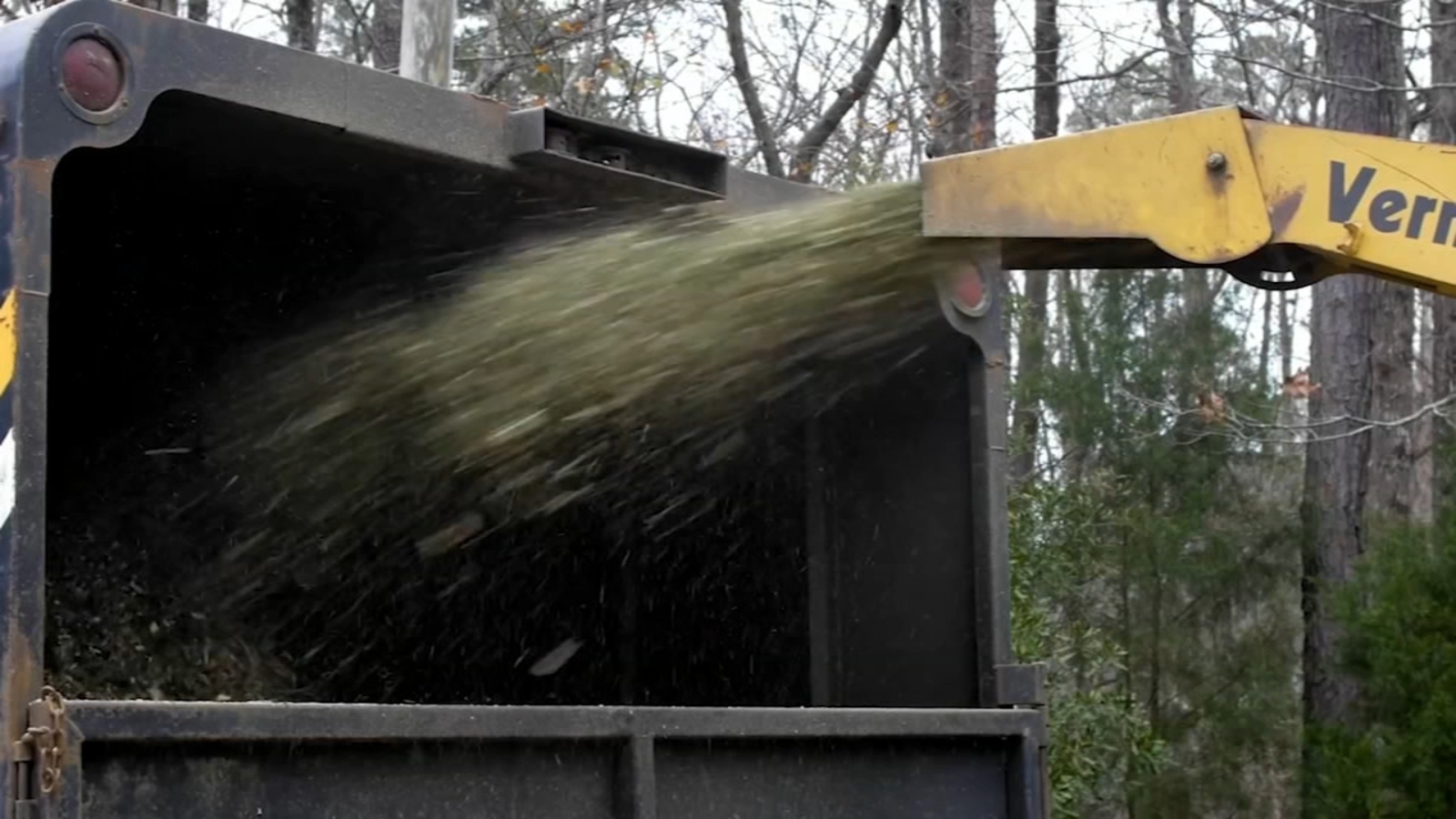 Chip Drop Raleigh Trees to mulch NC | Christmas tree recycling begin in Wake County ...