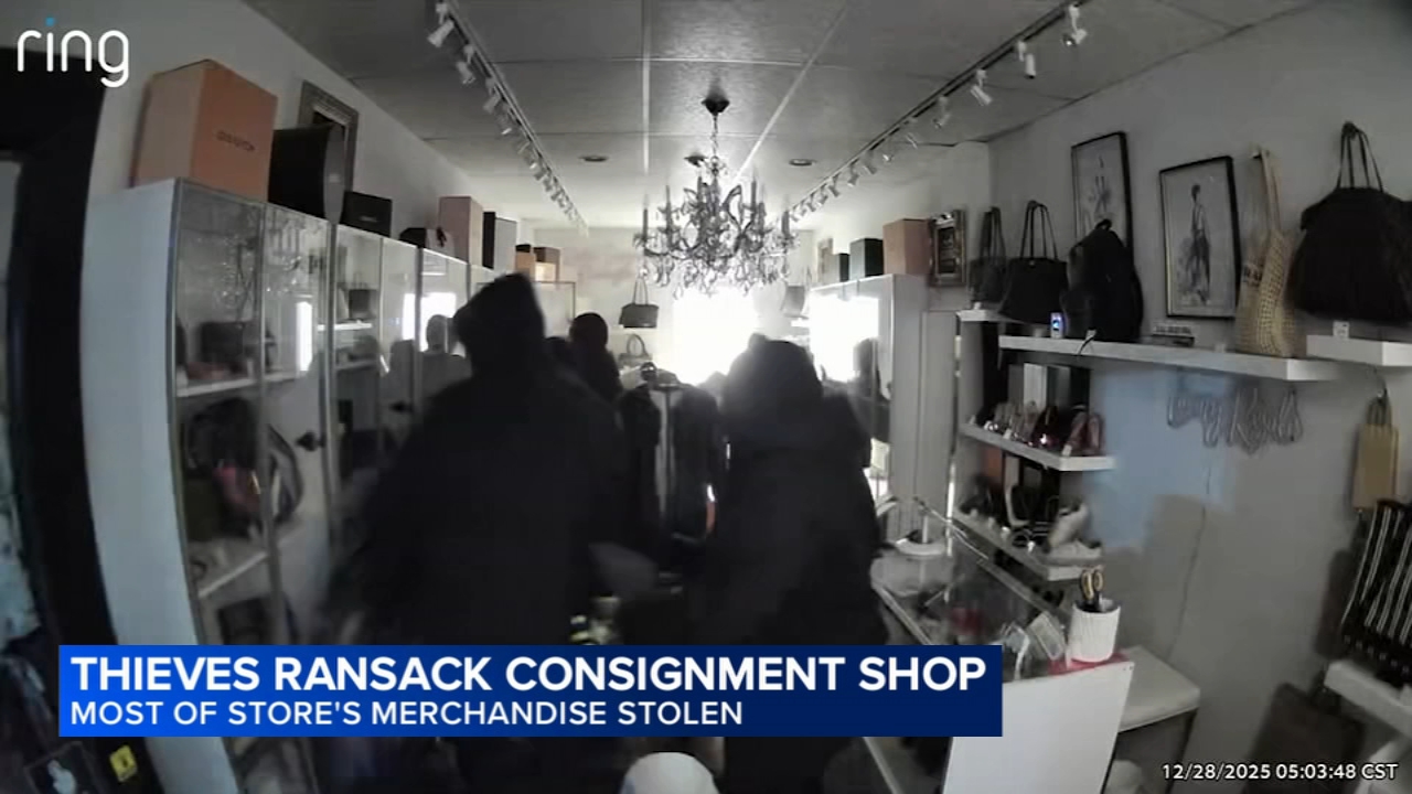 Video shows thieves ransack luxury resale shop in Barrington