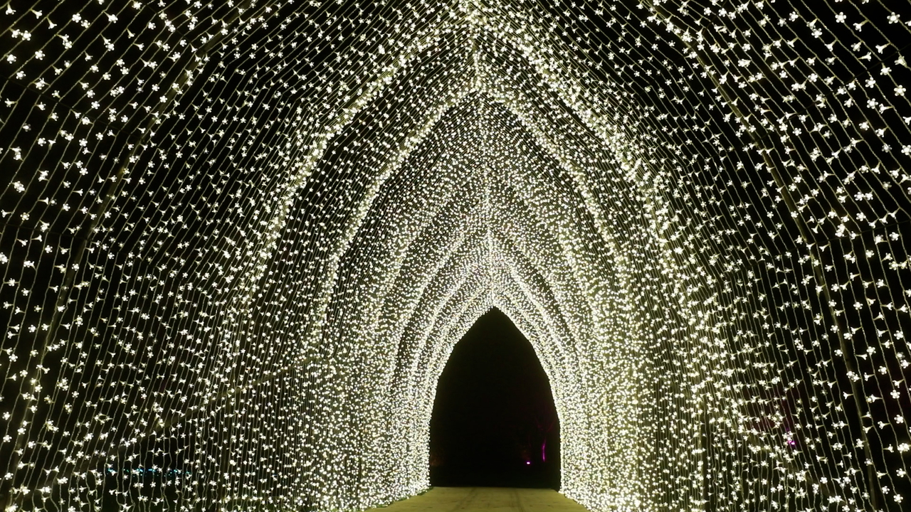 Millions of lights enchant visitors at San Francisco's Botanical Gardens