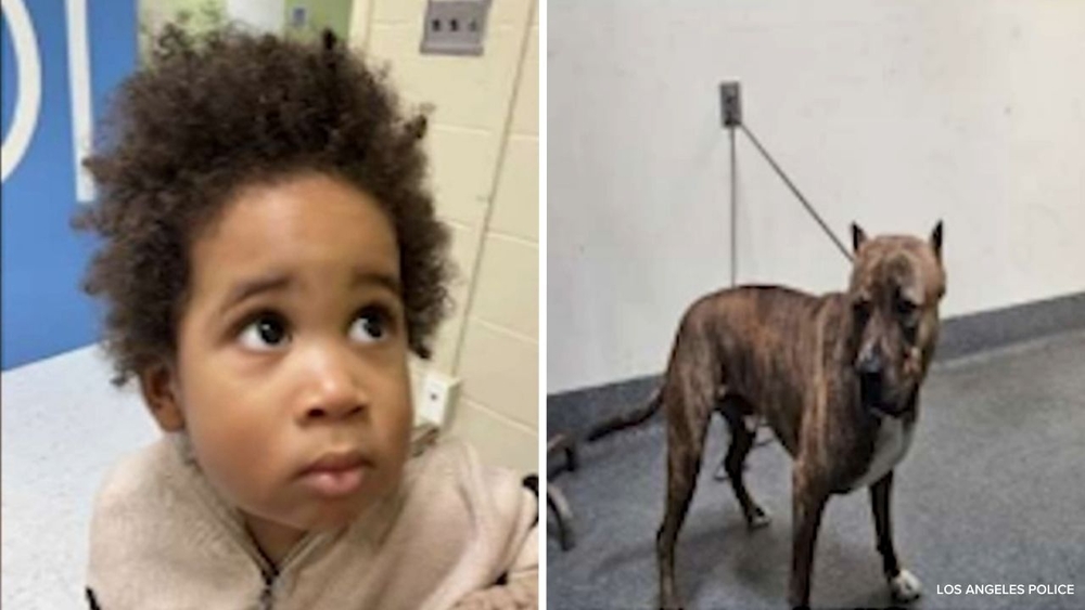 LAPD seeks help identifying boy found in car after attempted theft