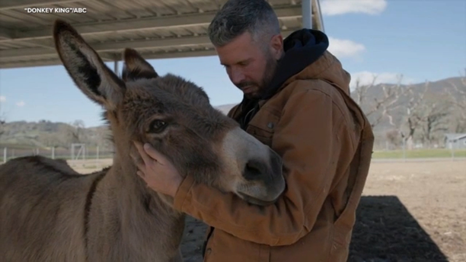 New 'Donkey King' series focuses on CA donkey rescue while being entertaining and educational