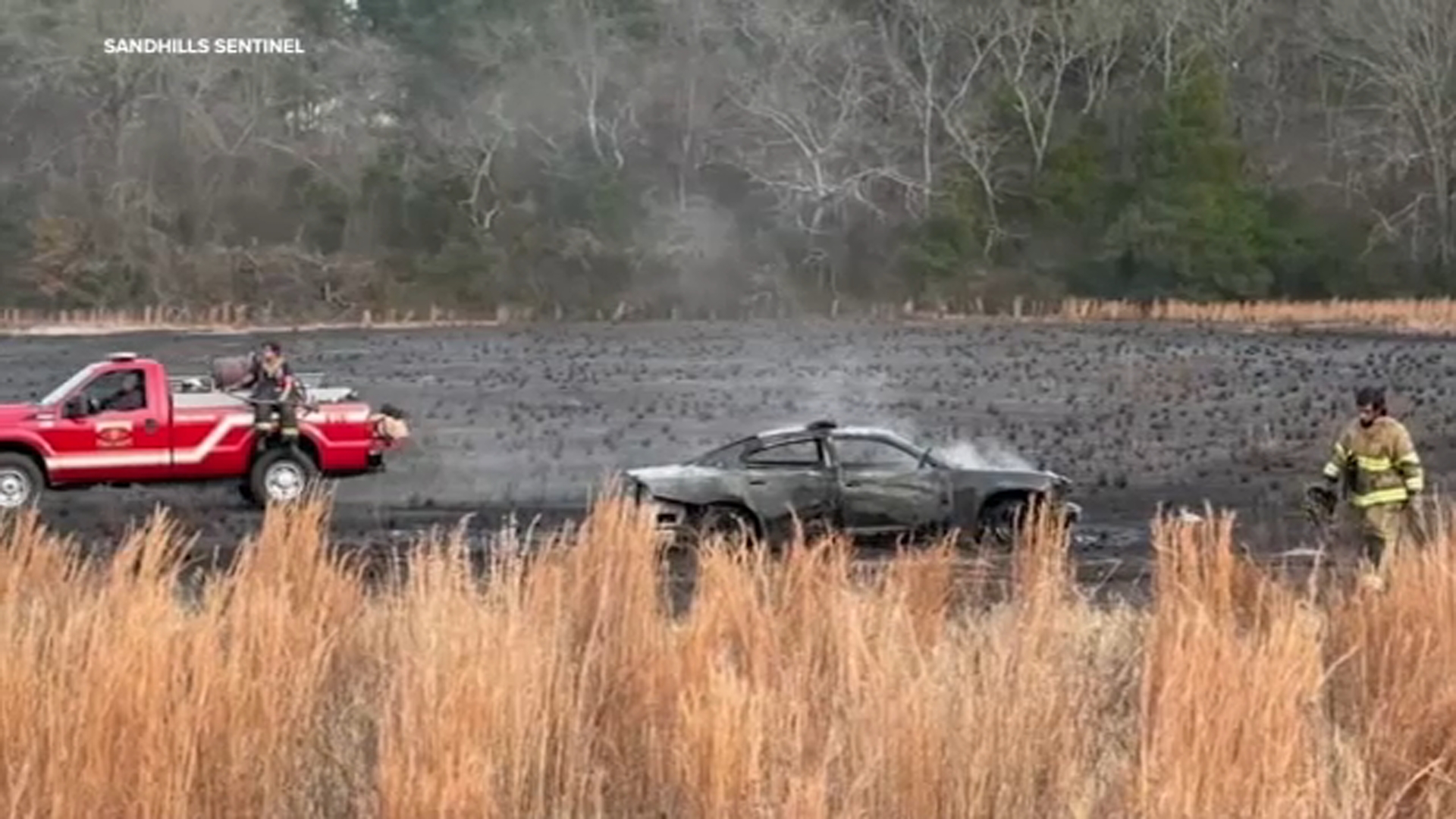 Photo Credit: Sandhill Sentinel