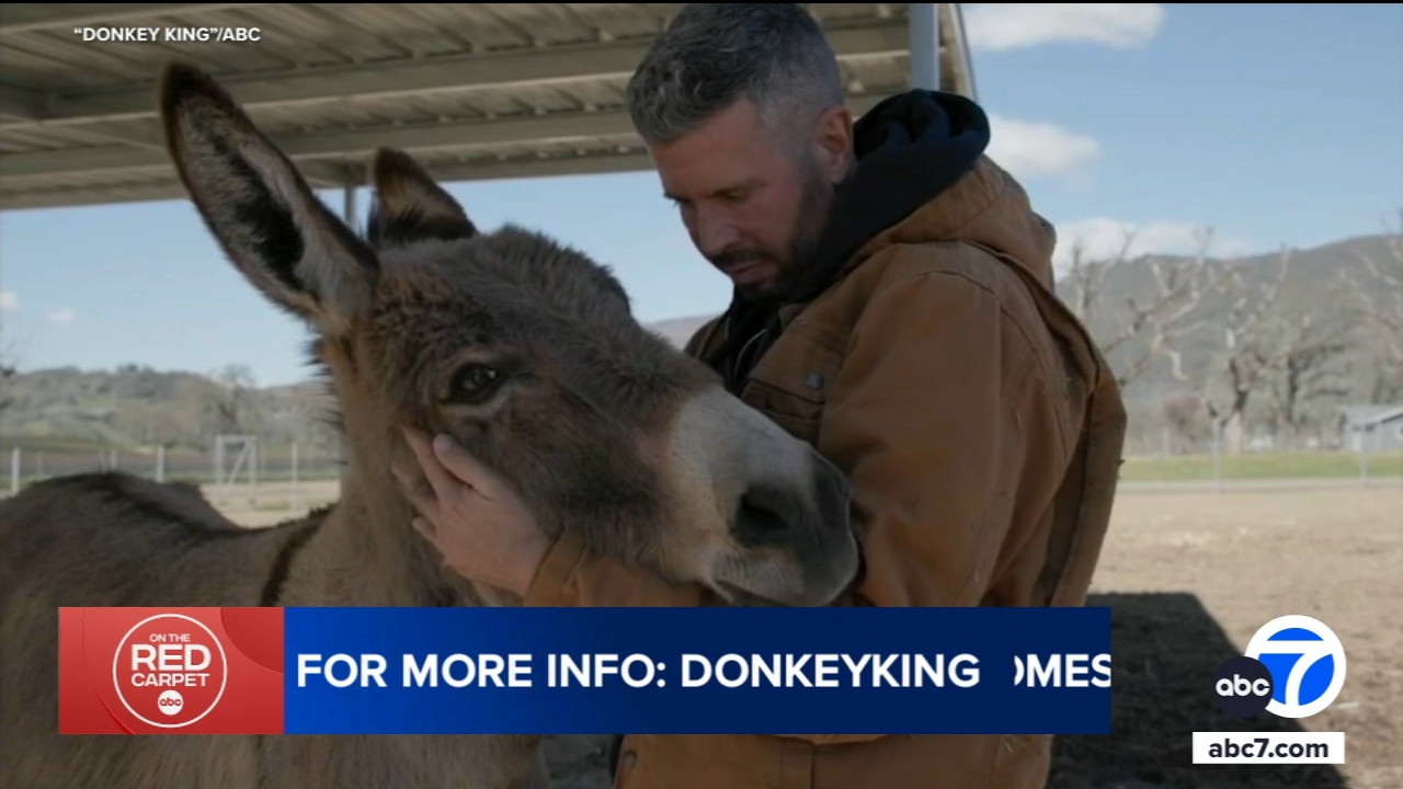 New 'Donkey King' series focuses on CA donkey rescue while being entertaining and educational