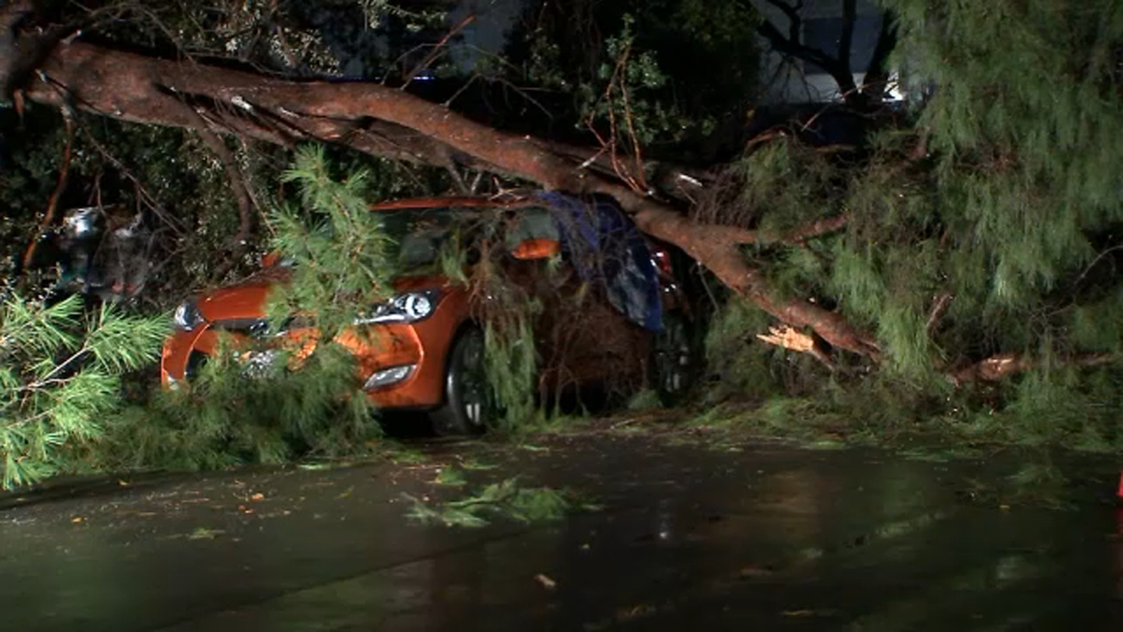 Large tree falls, crushes several vehicles in Reseda as storm leaves more damage