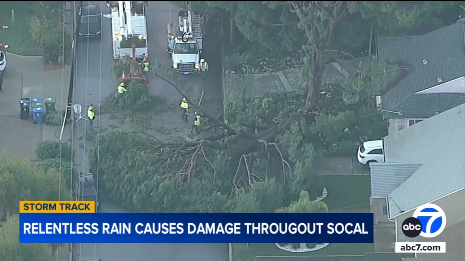 Tree falls in Van Nuys knocking down power lines after heavy rain Tree falls in Van Nuys knocking down power lines after heavy rain