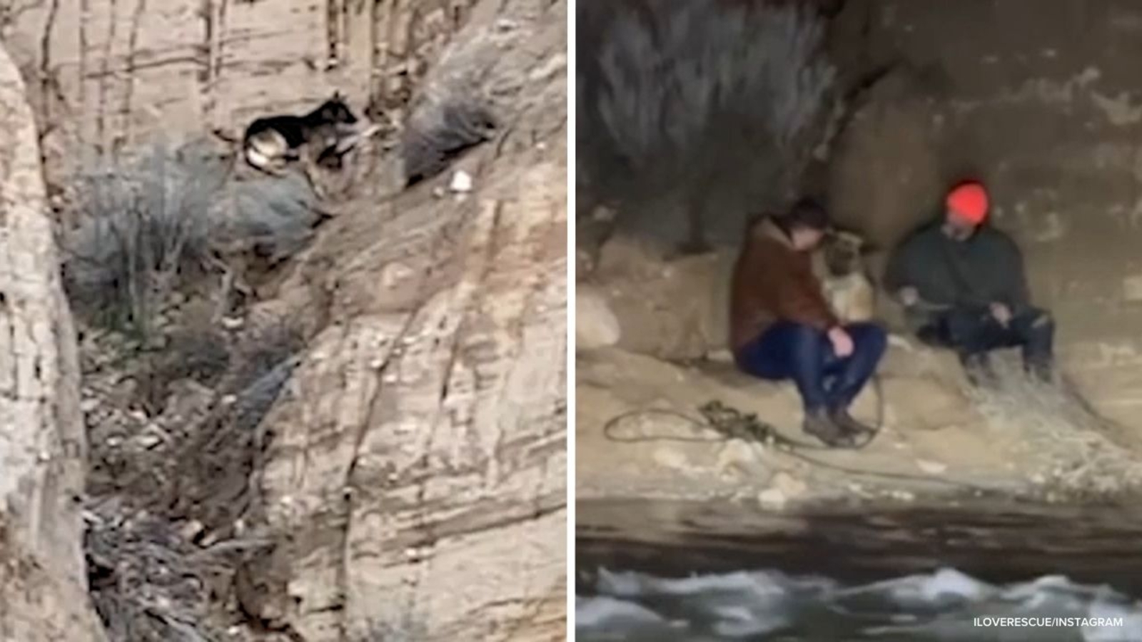 Rescuers cross rushing water to save stranded dog in California, video shows