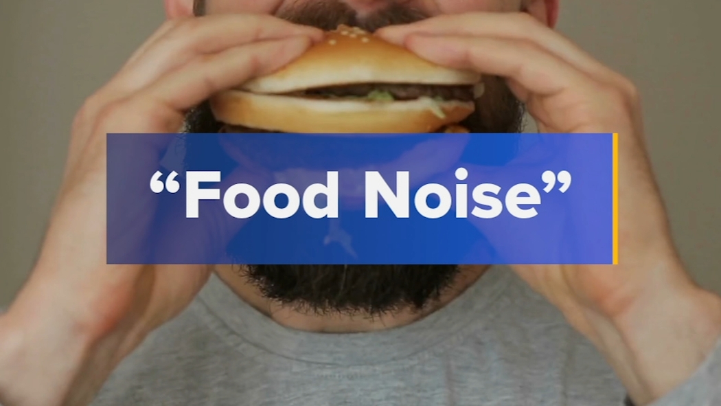 food noise and glp 1 How GLP1 drugs work on body and brain against obesity | Moves in Medicine