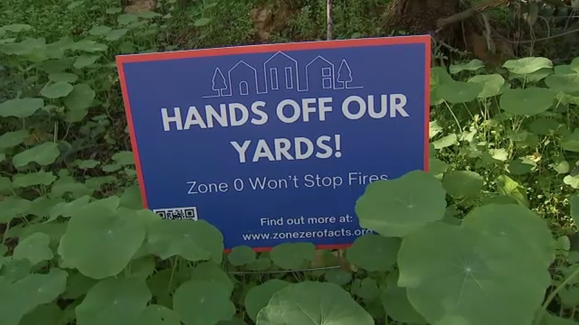 California's Zone Zero landscaping law sparks debate and concern amongst LA residents