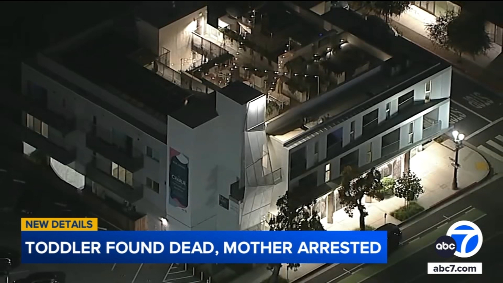 Toddler found in Santa Monica apartment dies from injuries involving frying pan; mother in custody