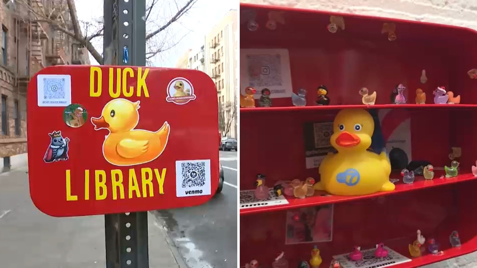 Duck libraries popping up throughout NYC, sparking trend and joy ...