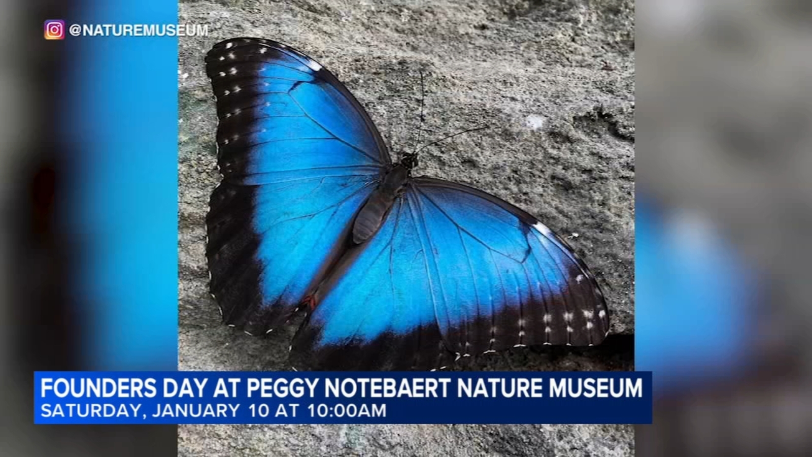 Chicago nature museum to celebrate Founders Day this weekend