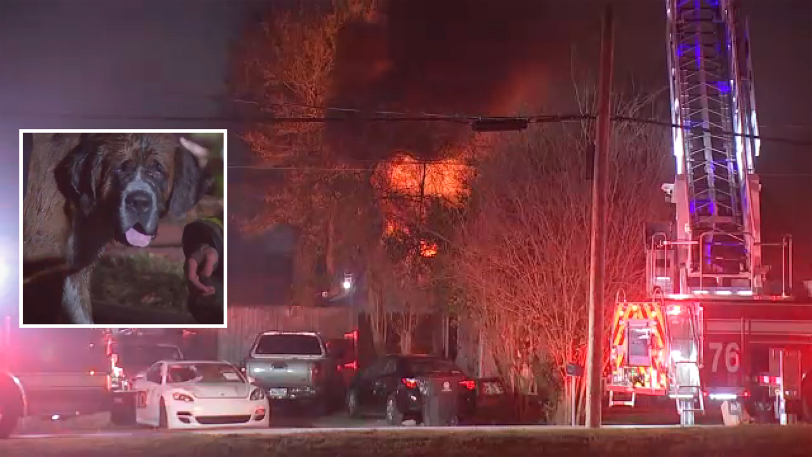Dog rescued from burning home along Alief Clodine Road in west Houston ...