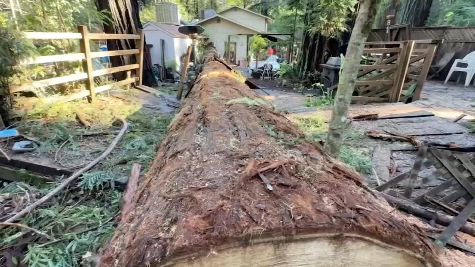 'Felt like an earthquake': Sonoma Co. still cleaning up after storms topple trees, wash away roads