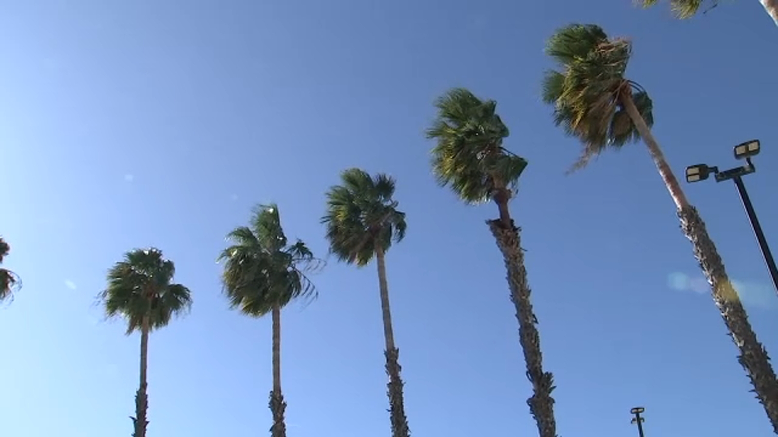 Hazardous winds whip across SoCal as high wind warning remains in place through Saturday afternoon Hazardous winds whip across SoCal as high wind warning remains in place through Saturday afternoon