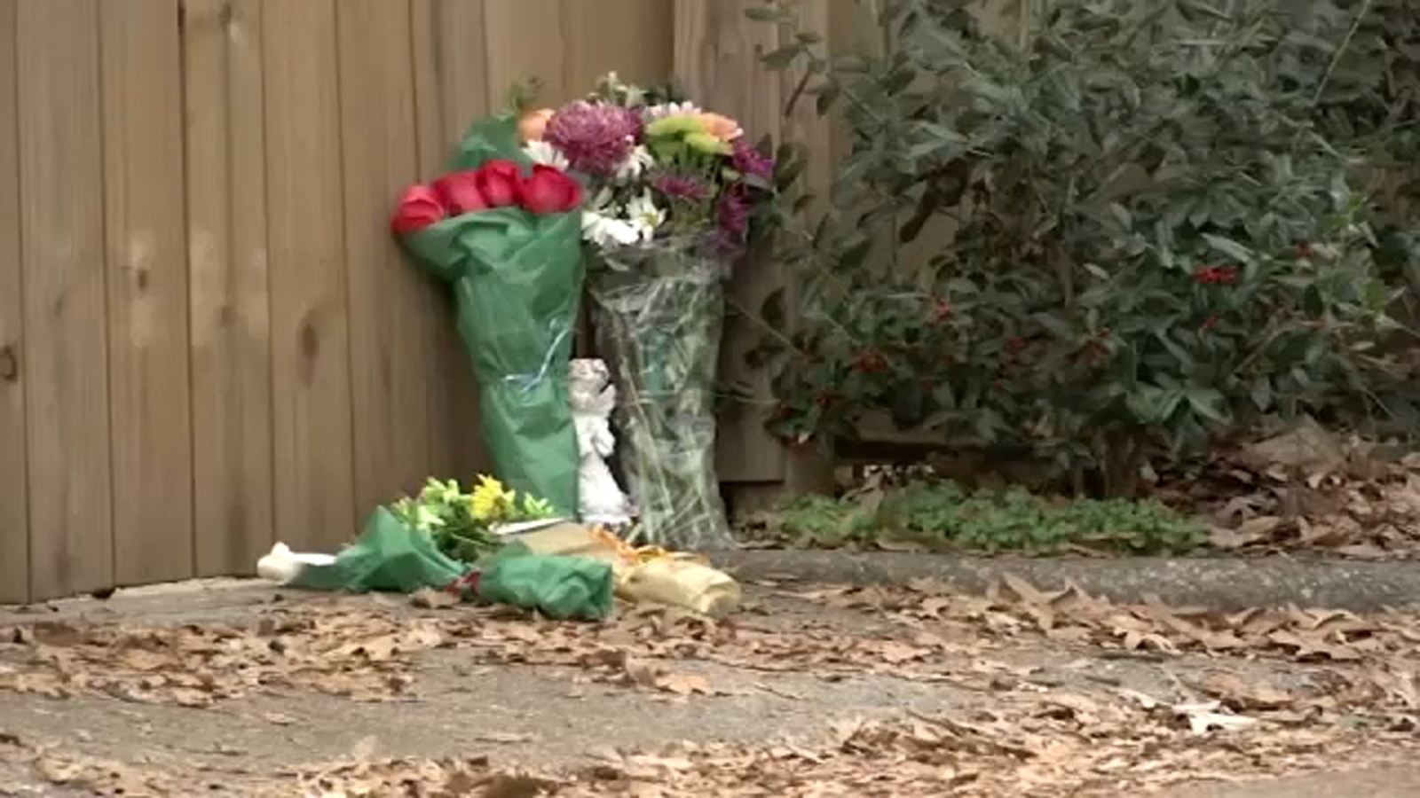 Zoe Welsh: 911 transcript reveals moment Raleigh teacher recognized intruder in her home