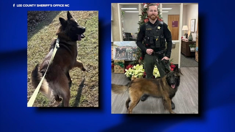 Lee Co. Sheriff's Office mourns loss of K-9 after medical emergency