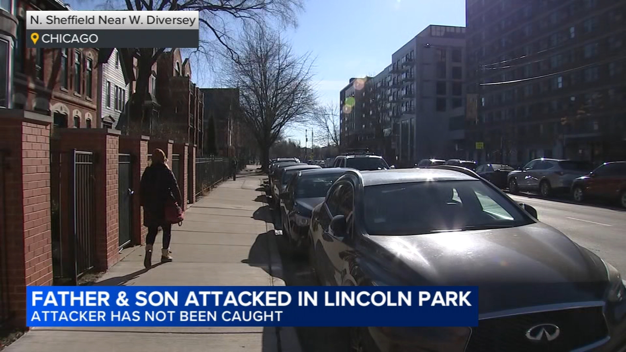 2, including 6-year-old boy, injured in Lincoln Park attack