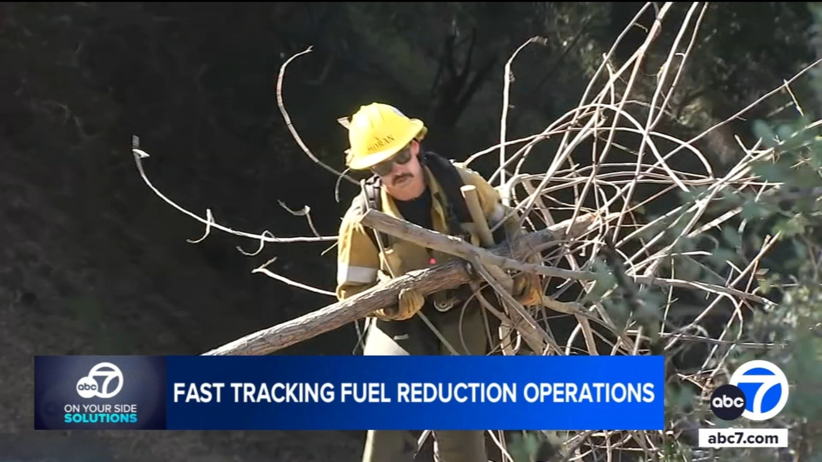 Brush clearance expedited in Santa Monica Mountains to protect communities from fires