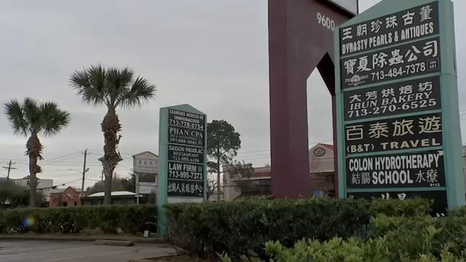 Fast growth, diverse views: What a new study reveals about Houston's Asian population