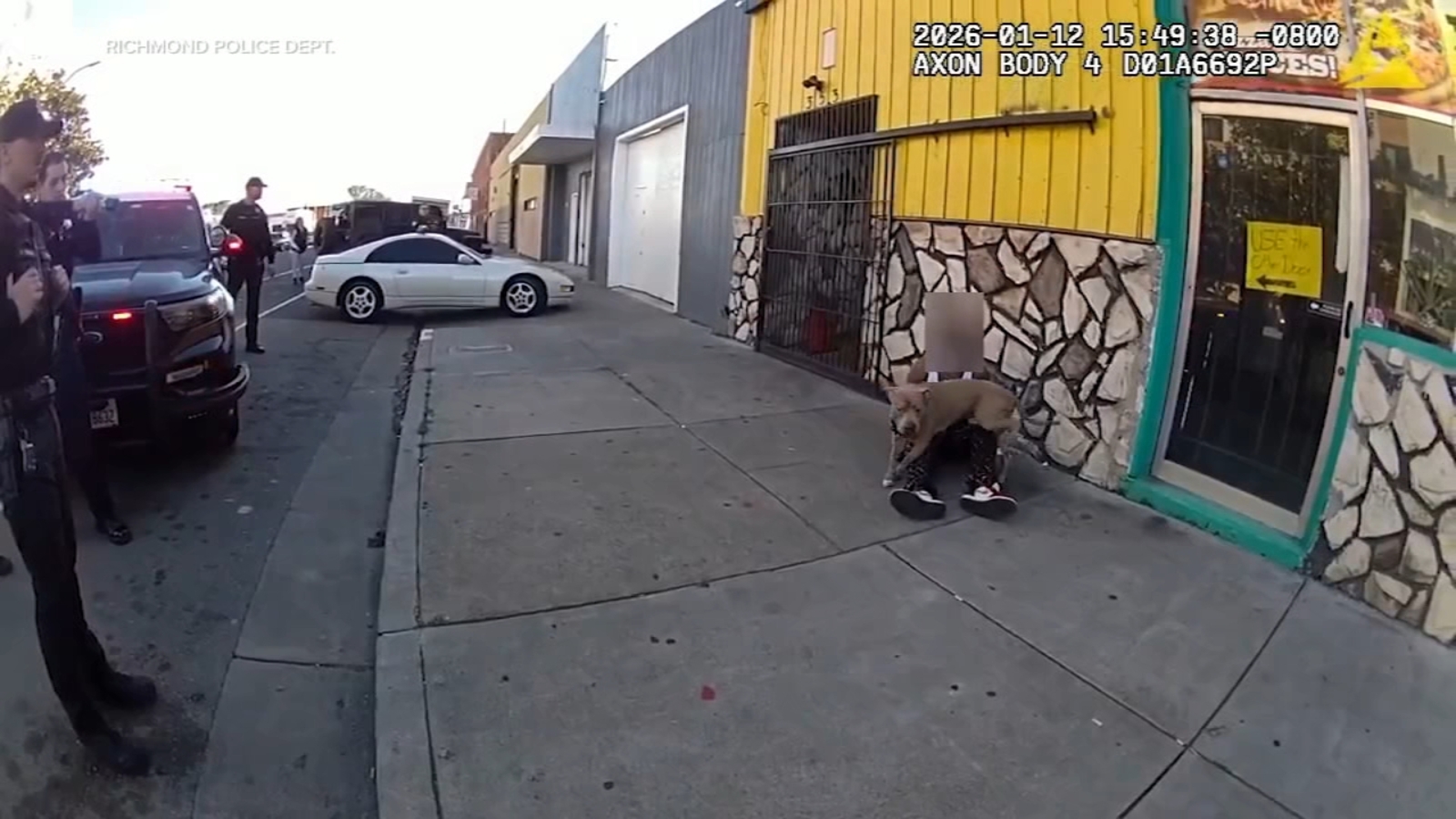 Dog tased by Richmond police during arrest, agency says