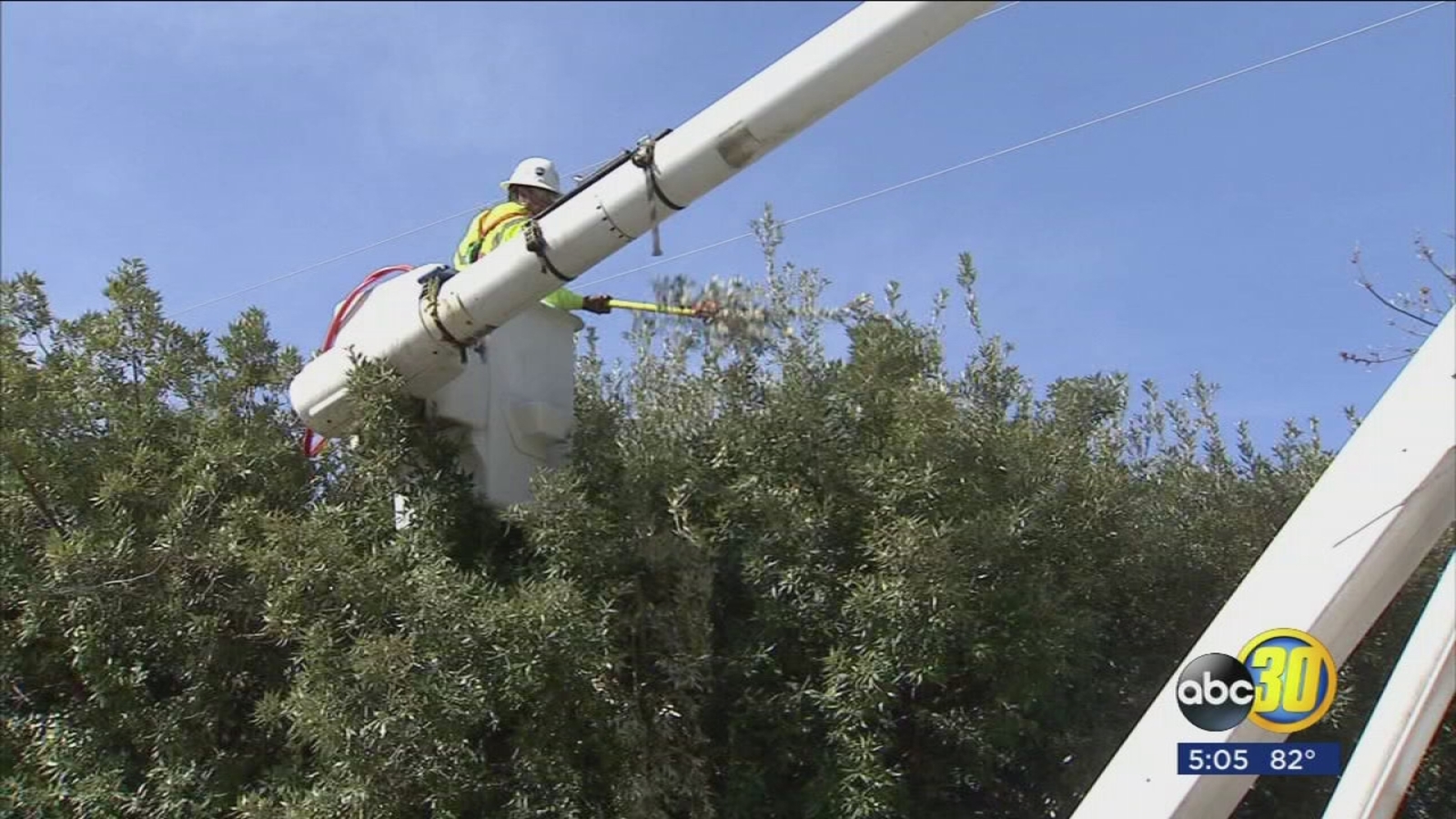 PG&E concerned about tree branches to close to power lines as storm ...