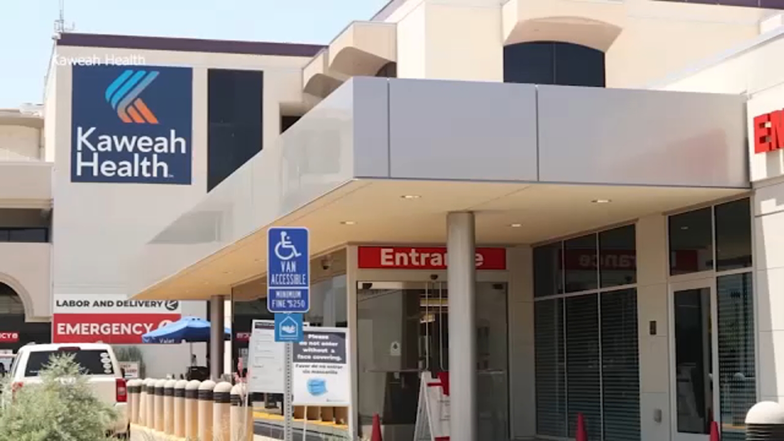 Woman dies at hospital after being shot in Cutler, officials say