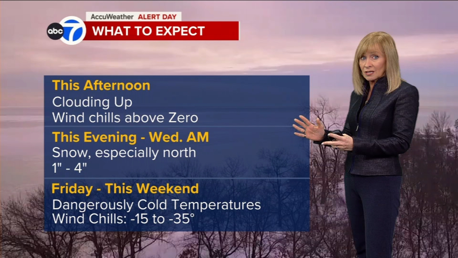 Chicago weather this week includes snow storm into Wednesday, followed by cold blast
      
