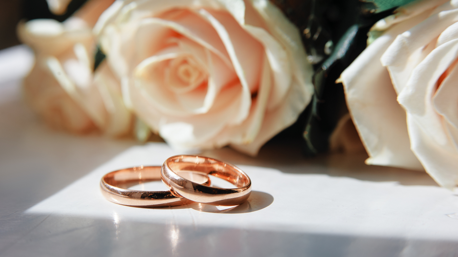 NC photographers rally to help brides after Holly Christina 