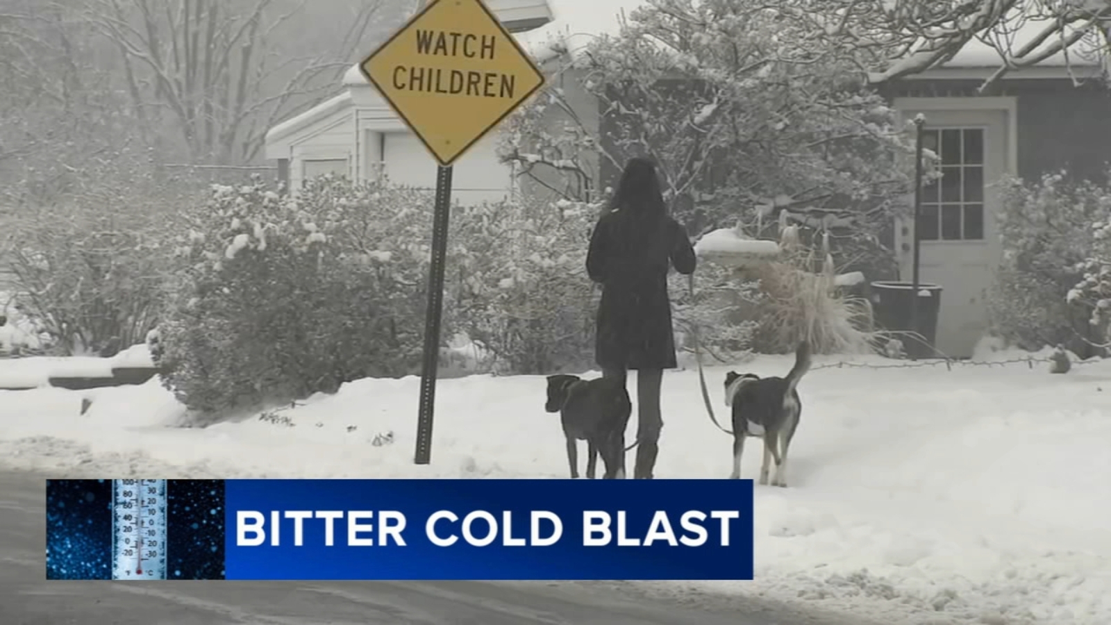 Cold snap brings mixed reactions as Philadelphians bundle up-- or don't
      