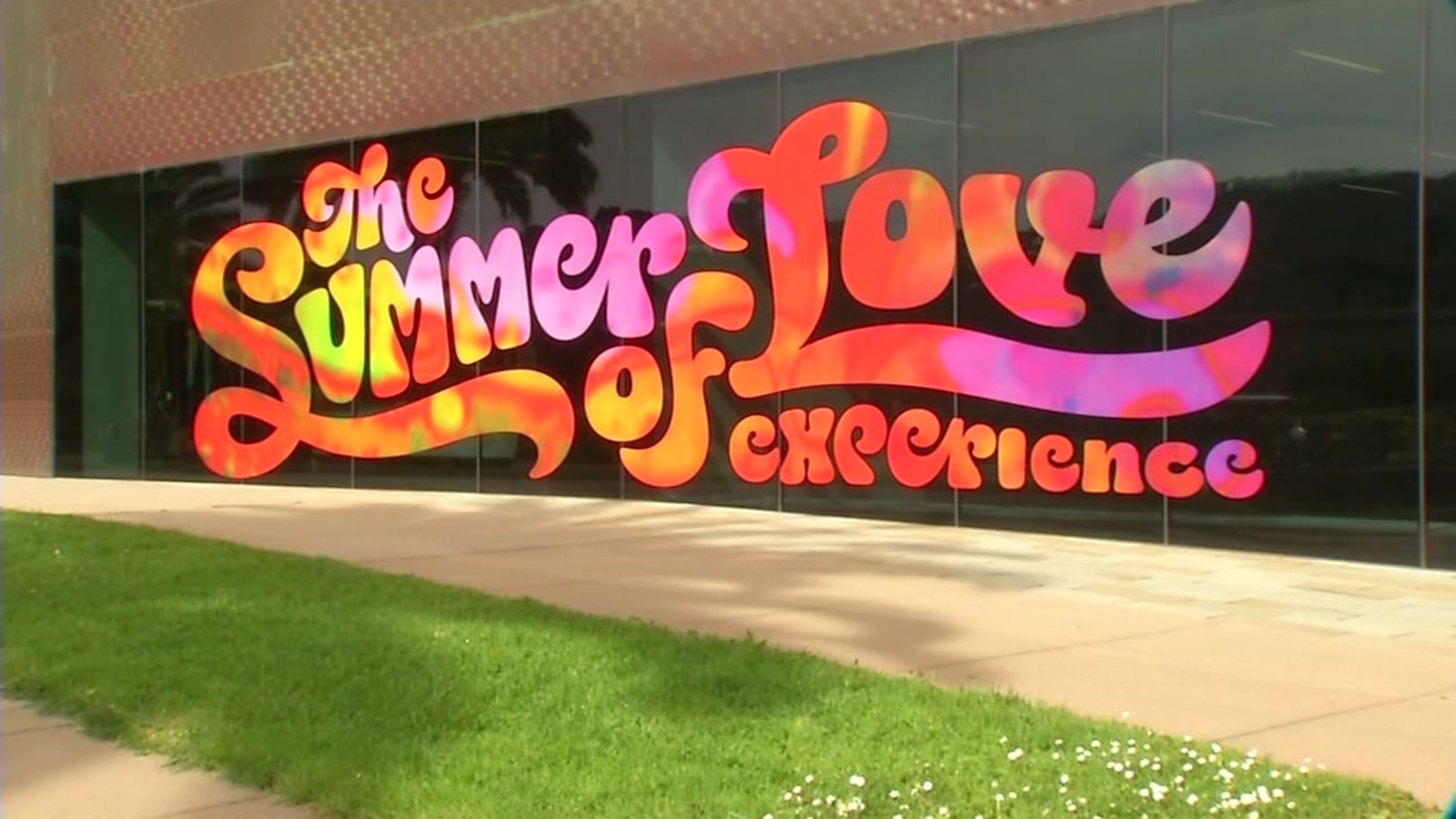 Bay Area weekend events Summer of Love exhibit, Cherry Blossom