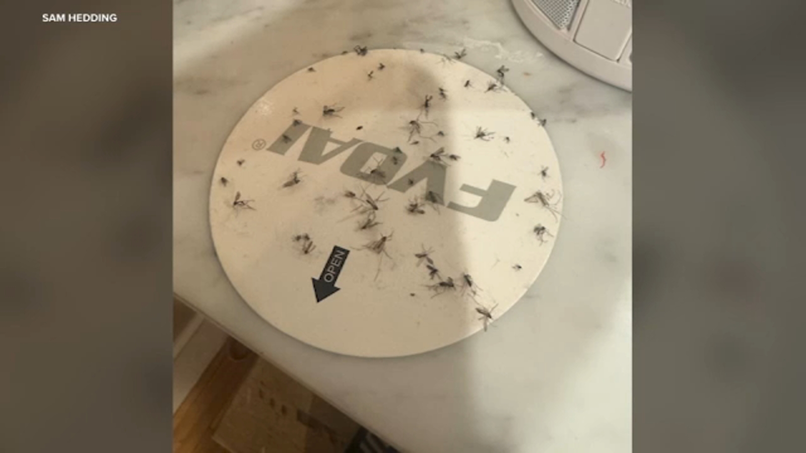 Mosquitoes swarm El Segundo neighborhood, leaving residents 'absolutely miserable'
      