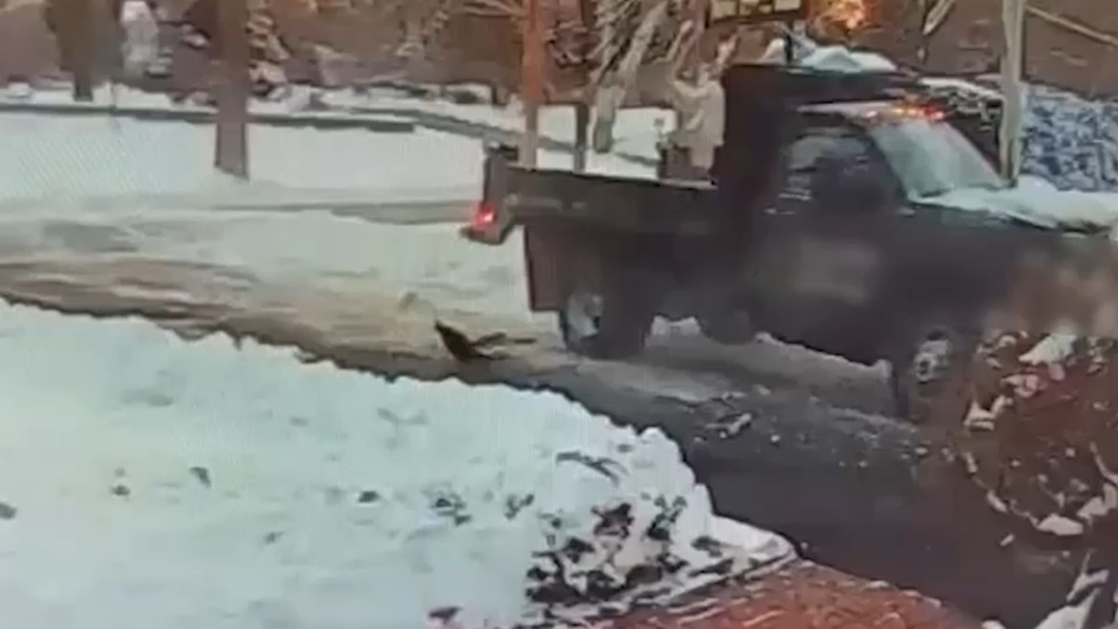 Snow plow driver was high on cocaine when he crashed into Fairfield ...