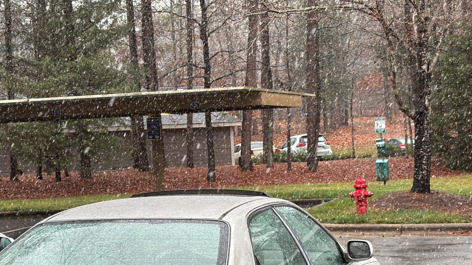 Winter storm forecast comes into focus for central NC, how to prepare
      