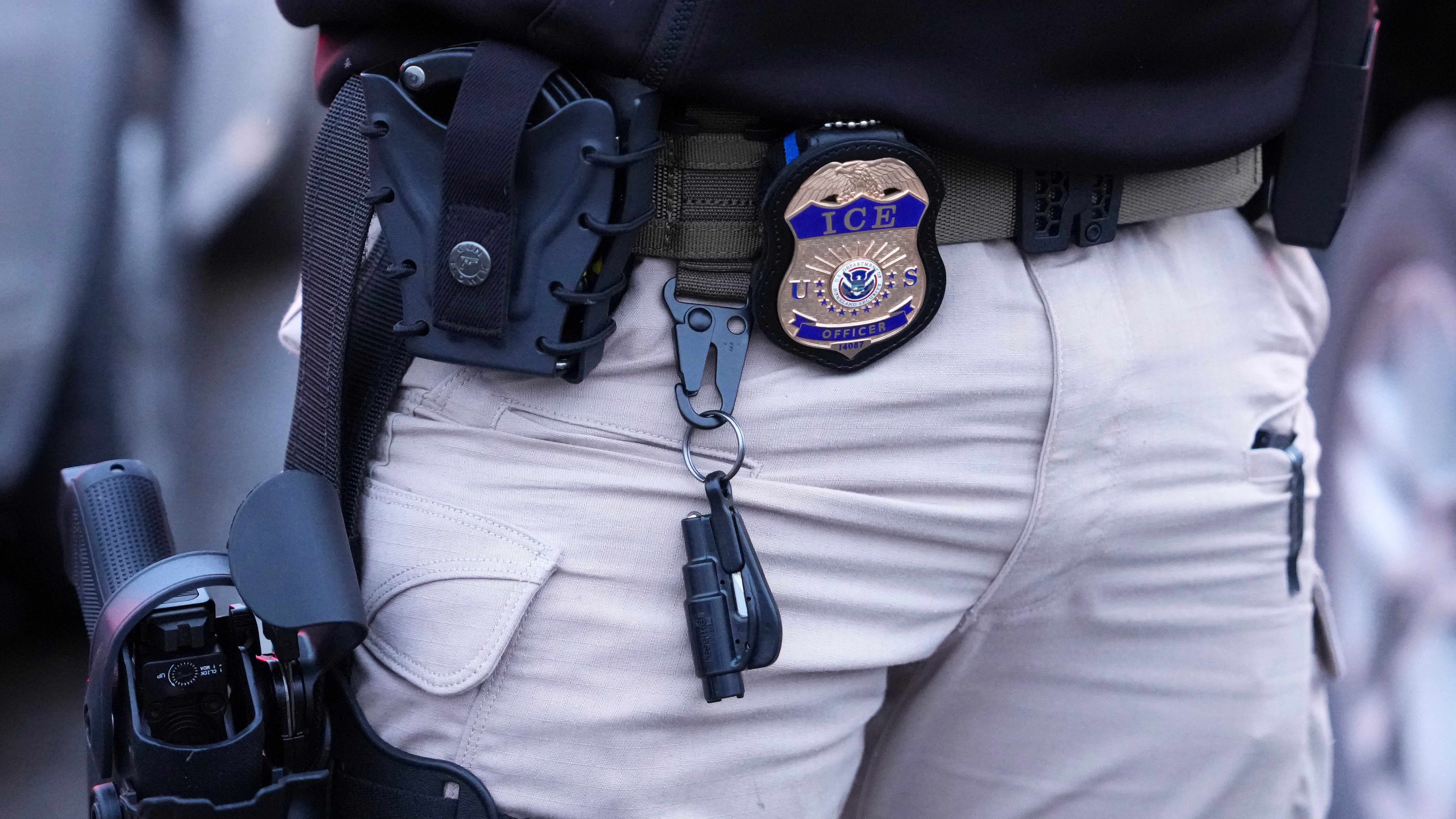 Shooting suspect arrested after being hit by Fresno Police car in River ...