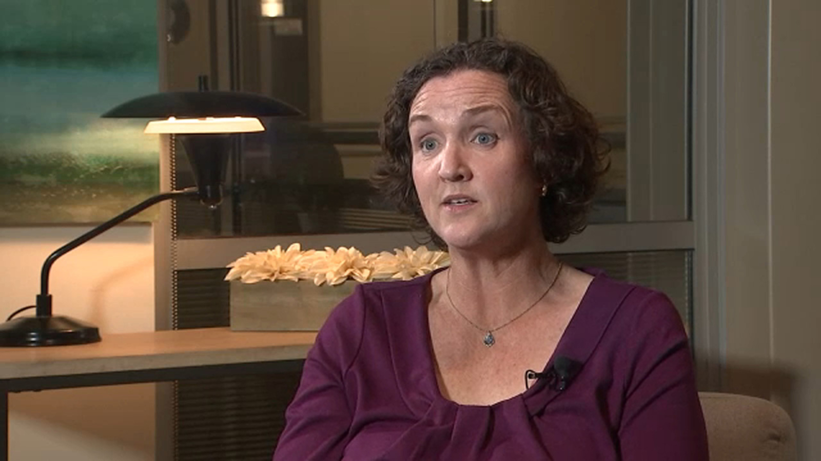 California governor candidate Katie Porter discusses crowded race, housing and Trump