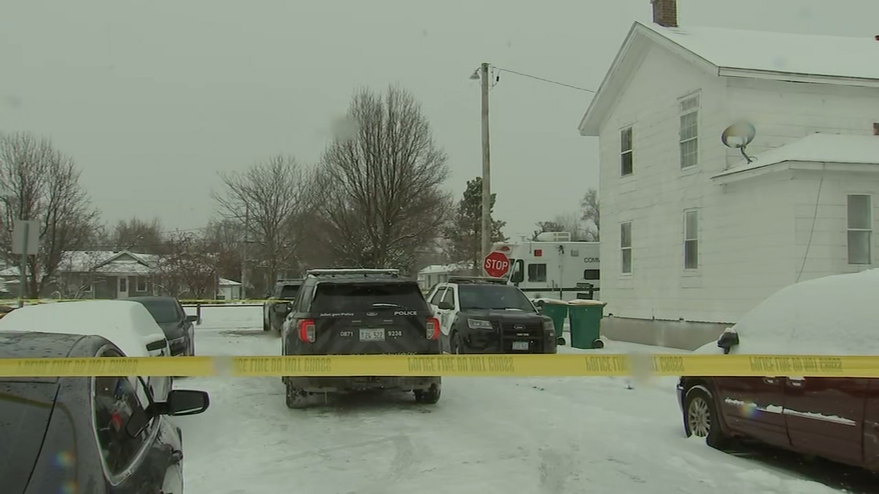 Child, mom fatally shot at south suburban home; man in custody: police
