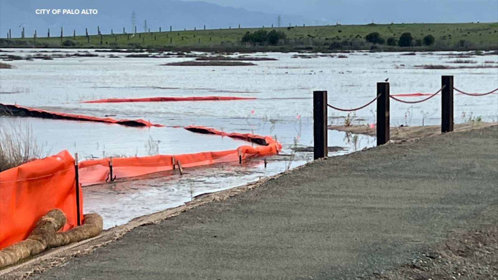Palo Alto's horizontal levee passes test, reduced flooding during recent storms